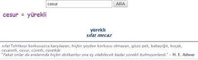 Cesurun Es Anlamlisi Yurekli Olarak Ifade Edilir Kelime Anlami Ise Herhangi Bir Tehlike Anin Michael Kors Travel Bag Michael Kors Travel Handbags Michael Kors