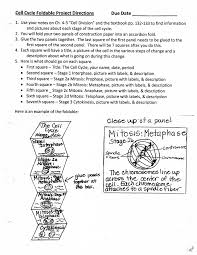Obtain cell cycle color and label worksheet worksheets sheet kids from the cell cycle worksheet answer key, source:sheetkids.biz. Cell Cycle Foldable Directions Pdf Google Drive Science Cells Biology Lessons Science Lessons