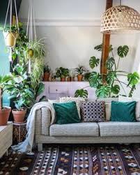 The best houseplants to beautify your room, clean the air, and boost your mood. 500 Best Living Room Plants Ideas Living Room Plants Room Interior