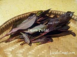 2,273 likes · 1 talking about this. Daun Petai Belalang Kasih Ilmar