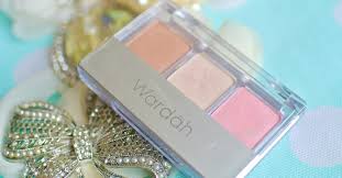 Image result for wardah eyeshadow