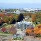 【Autumn Foliage – Peak Viewing】Sagamihara Park event image