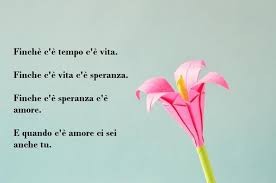 Idea Scritta Per Un Buon San Valentino Immagine Con Un Fiore Di Carta Su Sfondo Azzurro Immagini Di Fiori Citazioni Frasi Sui Fiori
