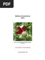 Image result for Eriocaulon angustibracteatum