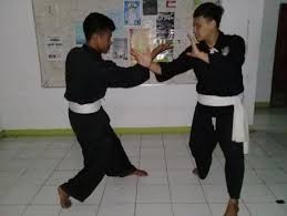 Penyediaan buku tematik terpadu kurikulum 2013 ini bisa berupa buku fisik cetakan maupun dalam bentuk file pdf. Metode Dakwah Dalam Pencak Silat Persaudaraan Setia Hati Terate Psht Di Komisariat Iain Surakarta Skripsi Pdf Free Download