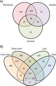 Function of hemicellulose in plant cell wall. A Cell Wall Proteome And Targeted Cell Wall Analyses Provide Novel Information On Hemicellulose Metabolism In Flax Molecular Cellular Proteomics