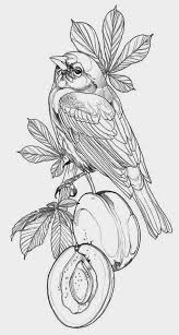 Bird Tattoo Design Bird Drawings Tattoo Design Drawings Bird Sketch