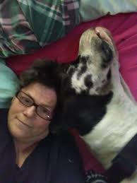 Men keep showing up as dogs in my life