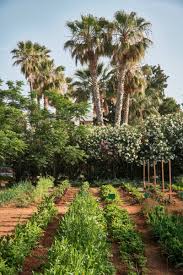 Im Interview Die Drei Frauen Hinter Dem Neuen Cretan Malia Park In 2020 Garten Uppiger Garten Biogarten