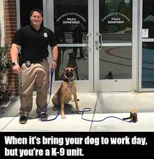 Check spelling or type a new query. Hilarious And Heartwarming Memes About Dogs With Jobs At Your Service Memes