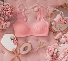 Honeylove Bras - Seamless Support for Confident Curves