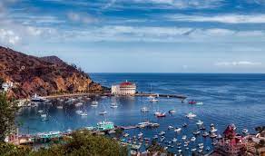 I'll share everything you need to know to create your perfect catalina island day trip. What You Need To Know To Plan A Day Trip To Catalina Island By Dr Bharat Lall Medium