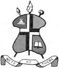 Image result for Styppeiochloa gynoglossa