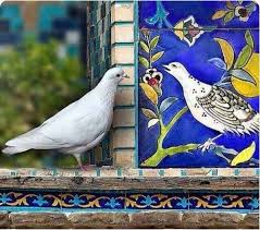 Pinar Vardar Adli Kullanicinin Cini Panosundaki Pin Resimler Hayvanlar Sanat