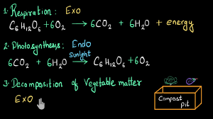 Exothermic And Endothermic Common Processes And Solved Examples Video Khan Academy