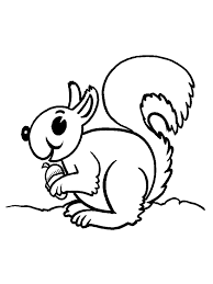 Come check it out and have fun with this awesome picture of a. Free Printable Squirrel Coloring Pages For Kids Squirrel Coloring Page Owl Coloring Pages Animal Coloring Pages
