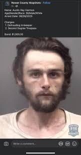 Winston-Salem Journal