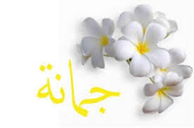 معنى اسم جمانة فهرس