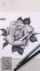 Draw Rose Draw Rose Rosetattoo Tattoo Rose Drawing Tattoo Realistic Rose Tattoo Rose Flower Tattoos