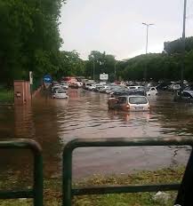 Tanti i disagi in tutta la città: Maltempo Temporale Su Roma Allagamenti E Alberi Caduti In Trappola Nell Auto Sommersa
