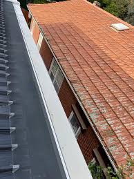 More than just roofing tampa we do inspections and maintenance and any. Gutter Guard Grayson S Gutter Guard Bayside