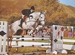 Silver Scenes - A Blog for Classic Film Lovers: The Horse in the Gray  Flannel Suit ( 1968 )