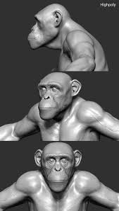 Chimp 3d Max Chimp Orangutang Chimpanzee