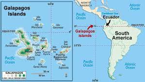 We did not find results for: The Galapagos Islands Part I The Galapagos Madagascar Islands
