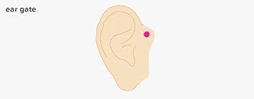 10 Pressure Points For Ears Treat Ear And Headaches Holistically Pressure Points Relieve Ear Pressure Acupressure