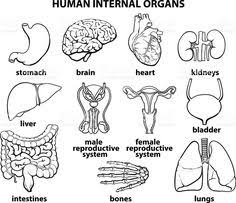 Maybe you would like to learn more about one of these? How To Draw Body Parts Easy Drawing For Kids
