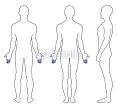 Involving one side of the body ipsilateral: 8 Forms Ideas Body Outline Human Body Body Diagram