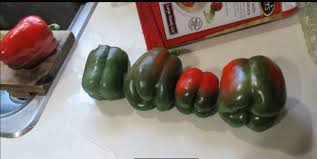 Add them to your soups. Minnesota Cooking Frozen Lasagna Stuffed Bell Peppers Delishably