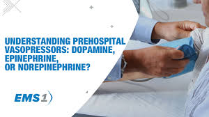 Image result for Vasopressor