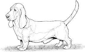 You can print or color them online at getdrawings.com for absolutely free. A Dogs Purpose Coloring Pages Coloring Data Architect