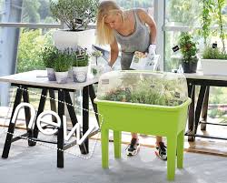 Allgemeine pflege von pflanzen >. Anthrazit Hochbeet Anzuchttopf Blumentopf Fruhbeet Gewachshaus Blumenkasten 3 Farben Von Rg Vertrieb Gartenarbeit Gewachshauser Ausrustung Zur Anzucht