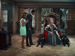 Is it not a fact that the miners of this country are bewildered and bewitched and do not know what is to happen? Bewitched S7 E1 To Go Or Not To Go That Is The Question Jane Connell Elizabeth Montgom Elizabeth Montgomery Bewitched Elizabeth Montgomery Agnes Moorehead