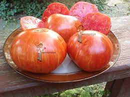 Vines are hardy, vibrant and about 6 feet tall when grown in full sunlight(12 hours). Dwarf Beauty King Tomato Seeds Available For Sale