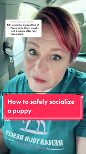 Reply to @graycorvid how to socialize a puppy with the fear of parvo  @michelleblacksullivan #dogtrainersoftiktok #forcefreedogtraining  #foryoupage