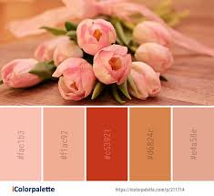 See more of local color flowers on facebook. 65 Floral Color Palettes Ideas Floral Color Floral Image Color Palette