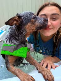 Let's welcome our new members! Annette Stepp-Estes, Daved Whyt, Lorie  Marshall, Georgette Timmons, Jackie Harris, Aliyah Kasecky, Cori Akers,  Molli Lochridge, Cynthia Halter Mentzer, Teri Morgan Boyte, Dawn Blue,  Olivia Mia, Tammy