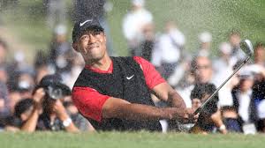 As of 2019, tiger woods net worth is estimated to be roughly $800 million, making him one of the richest golfers in the world. What Is Tiger Woods Net Worth