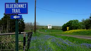 The ennis bluebonnet trails include 40 miles of mapped driving trails. Ennis Roots Boots N Rambles
