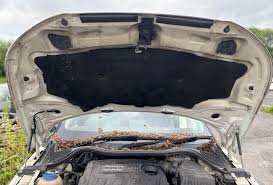 Image result for Amalfi White 2014 A1