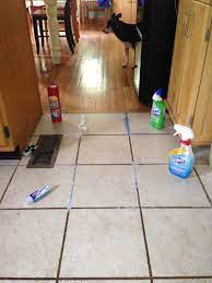 Perfect Mopping Tile Floors With Bleach And Description Floor Grout Cleaner Grout Cleaning Diy Grout Cleaner