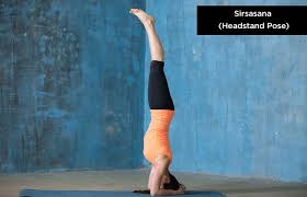 7 Yoga Poses That Can Protect Your Hair Yoga Asanas Yoga Poses Yoga Hairstyle