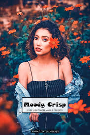 Get stunning results in one click. 30 Lightroom Presets Download Ideas In 2021 Lightroom Presets Download Lightroom Lightroom Presets