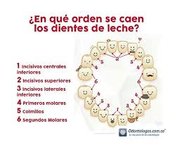 Pin En Salud Oral