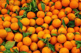 Devano aldebaran, apr 12 at 09:53. Di Antara Buah Dan Warna Orange Mana Yang Muncul Lebih Dulu Semua Halaman Bobo