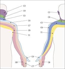 Pin On Acupuncture