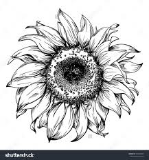 Black And White Line Art Sunflower Drawing Sunflower Black And White Google Search Sunflower Drawing Sunflower Sketches Sunflower Illustration